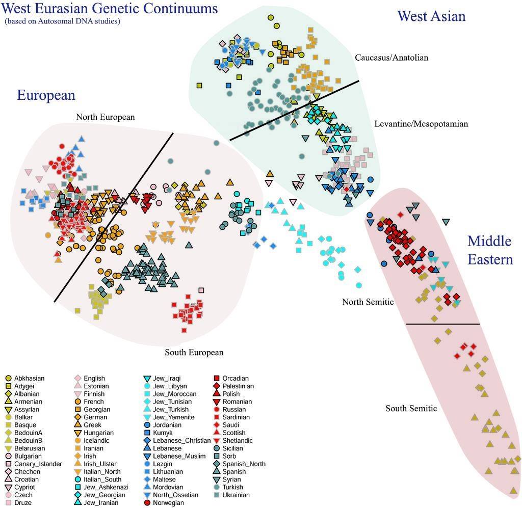 West Eurasian Genetic Continuum