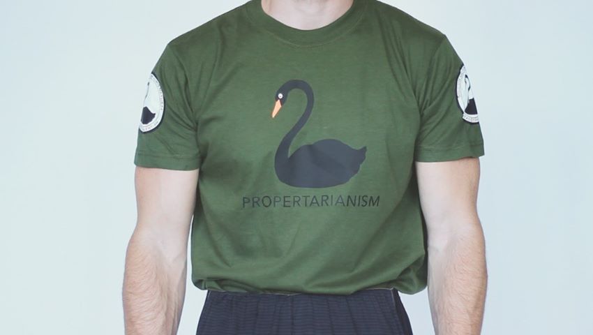 Protected: Green Shirt w/ Big Swan Logo