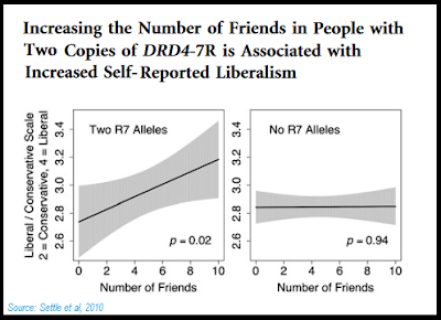 Dopamine allele and lots of friends equals politically liberal, line graph, Settle et al 2010.png