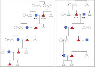 MBD and FBD charts side by side.png