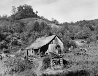 appalachian shack  with 7 family members, 1953.png