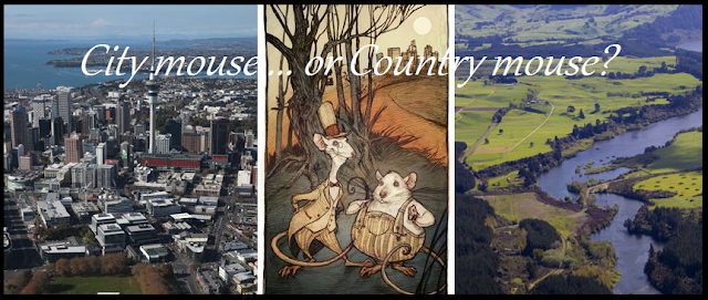 city mouse country mouse captioned.png